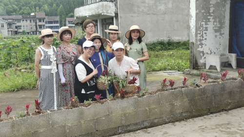 泽雅镇妇联志愿者帮助弱势群体听力残疾人打造美丽庭院